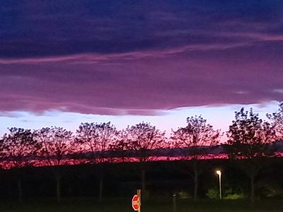 642289348:  en Pontevedra