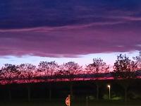 642289348:  en Pontevedra