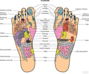 632008189: Chica busca chico en Álava