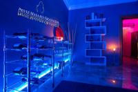 610674839:  en Granada