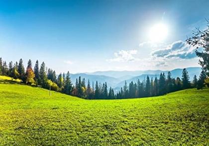 631121522:  en Gerona