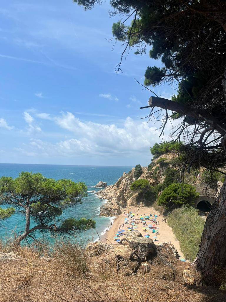 611334815:  en Barcelona