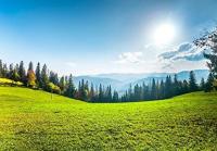 631121522:  en Gerona