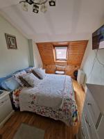 691557765:  en León