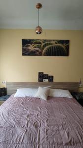 679450023:  en Madrid