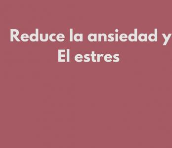 691041308: Chica busca chico en Zaragoza