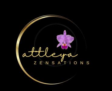 668564113:  en Cádiz