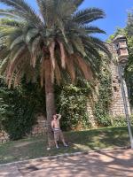 663526446: Chico busca chica en Barcelona