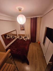 652855535:  en Zaragoza