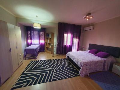 625337813:  en Lérida