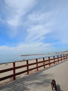 631056706:  en Málaga