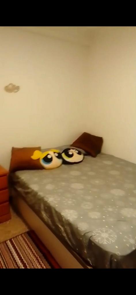 Chica busca chico en Valencia: 