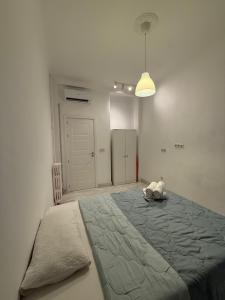 613802365:  en Madrid