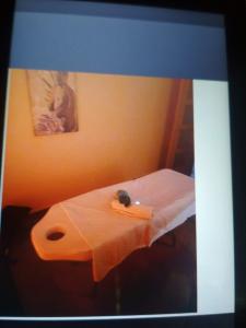 632271731: Chica busca chico en Navarra