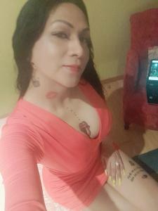 603166999: Travesti en Pontevedra