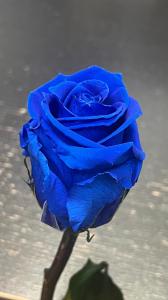 693519684:  en Valencia