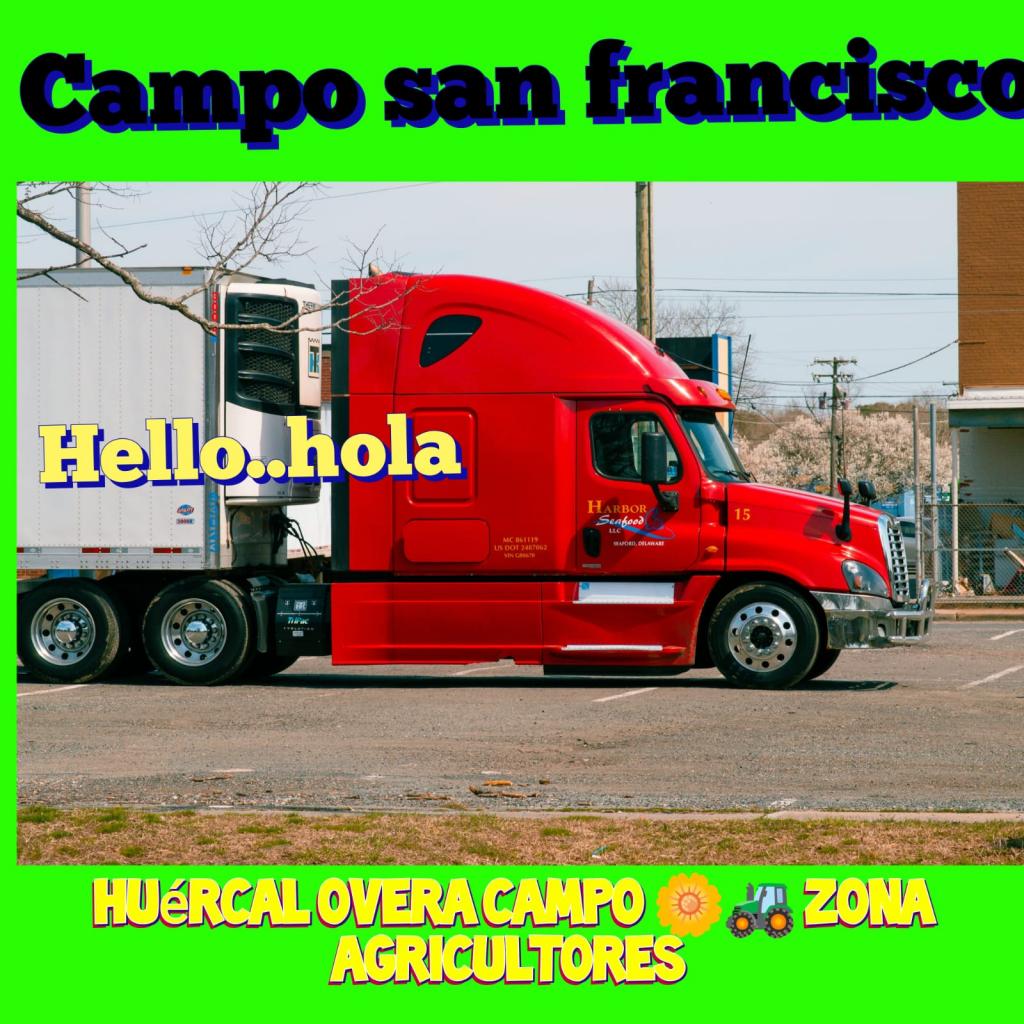 Chica busca chico en Almería: 