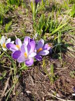 643879932: Travesti en Cádiz