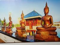 623314771: Chico busca chica en Tenerife