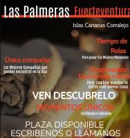 631159911:  en Las Palmas