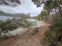 611394691:  en Mallorca