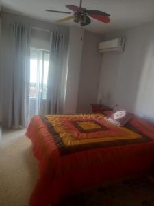 604119235:  en Cádiz