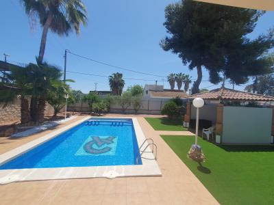 Chica busca chico en Murcia: 