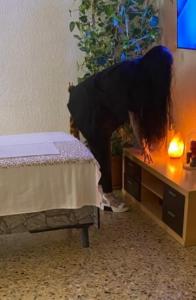 602493575: Virtual en Zaragoza