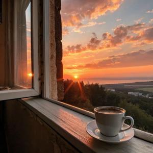 659409641:  en Tenerife