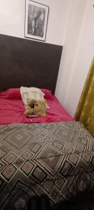 644320748: Chica busca chico en La Coruña