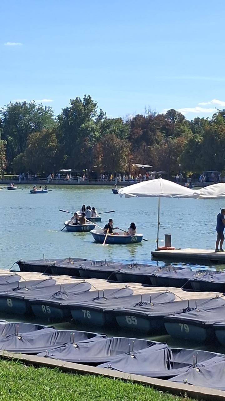Chico busca chica en León: 