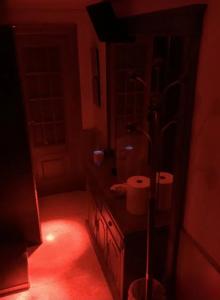 Transexual en Valencia: 