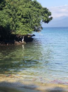 642473082:  en Barcelona