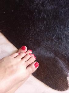 603229166: Transexual en Las Palmas