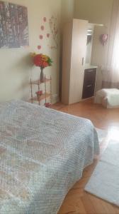 642286206:  en Burgos