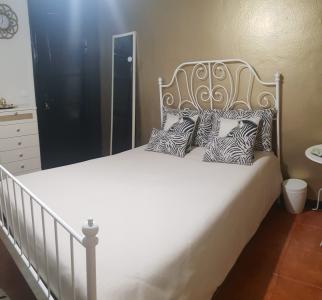 602594292:  en Asturias