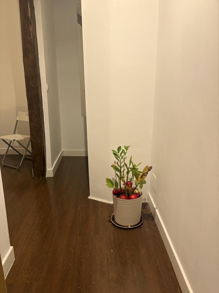 617465170:  en Madrid