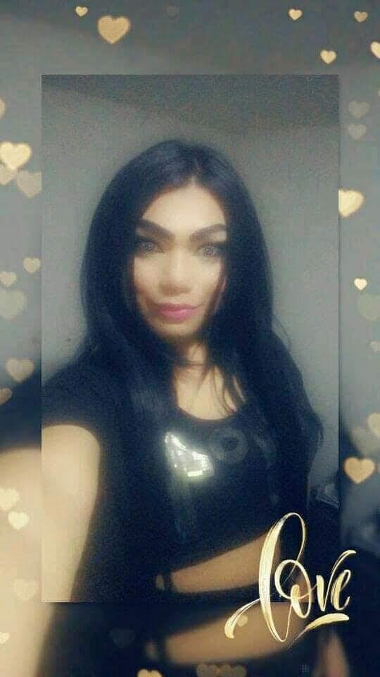 Transexual en Castellón: 