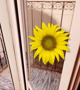 698415776:  en Barcelona