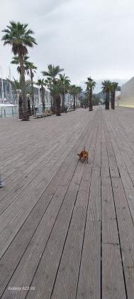 601927534:  en Murcia