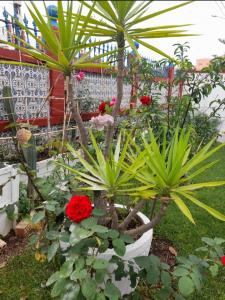 634182175:  en Cádiz