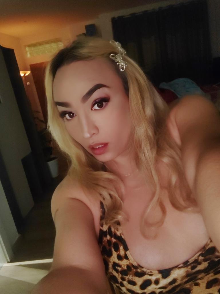 Travesti en Mallorca: 