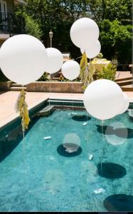 624570721: Chico busca chica en Ibiza