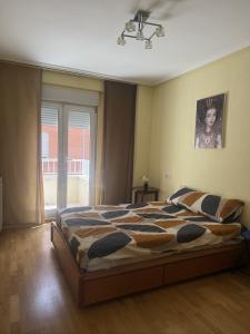 656574984:  en León