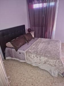 697621857:  en Málaga