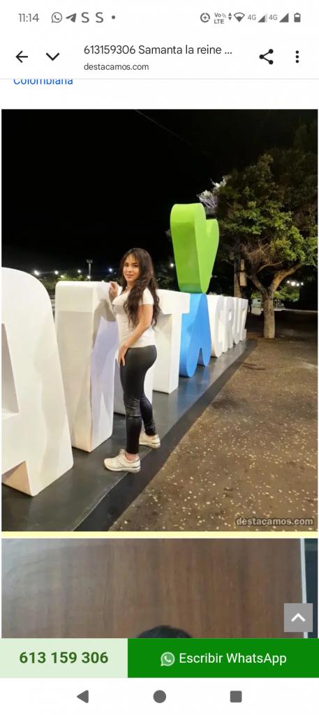 613159306: Virtual en Palencia