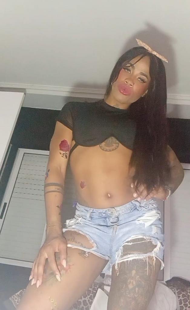 603509143: Travesti en Alicante