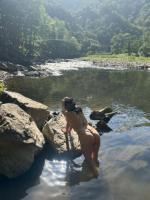 613240415: Chica busca chico en Guipúzcoa