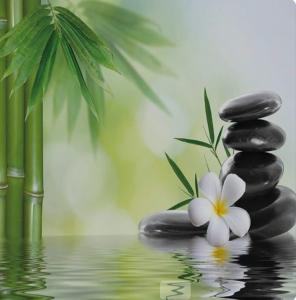 688394537:  en Madrid