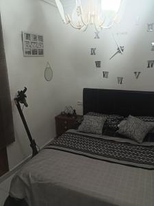 613579305:  en Alicante